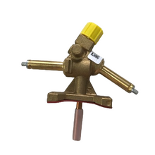 Carica l'immagine nel visualizzatore di Gallery, Ricambi boiler Truma mod. Bg10-bg10jg-bgn10