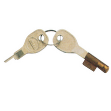 Carica l'immagine nel visualizzatore di Gallery, Lucchetto di sicurezza per AKS