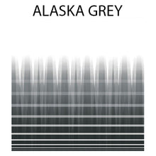 Carica l'immagine nel visualizzatore di Gallery, Veranda tendalino da tetto Thule Omnistor 9200