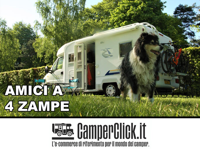 Amici a 4 zampe - Camperclick