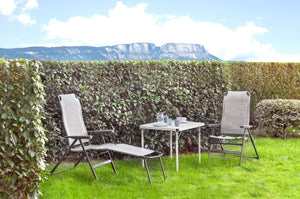Sedia da campeggio Brunner Aravel Syntex