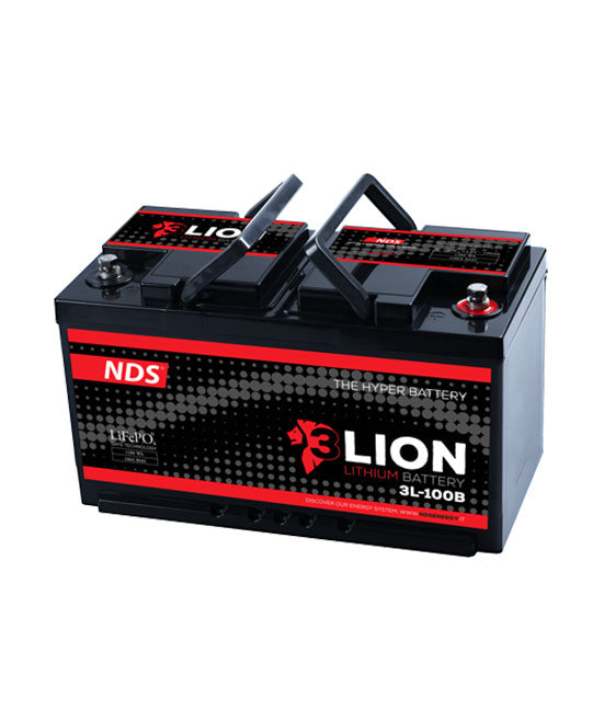 Batteria NDS 3LION System + 3 Link e display