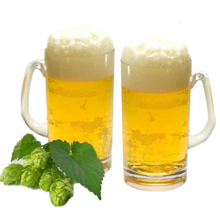 Set 2 boccali birra in policarbonato
