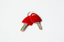 Carica l&#39;immagine nel visualizzatore di Gallery, Safe Door Magnum Frame serratura Fiamma
