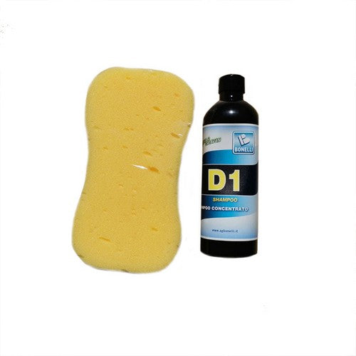 Shampoo + spugna